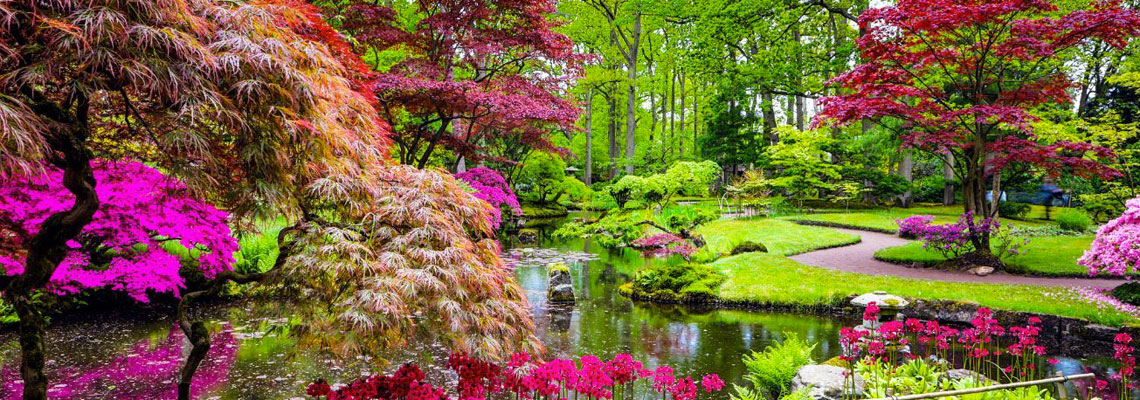 jardin zen